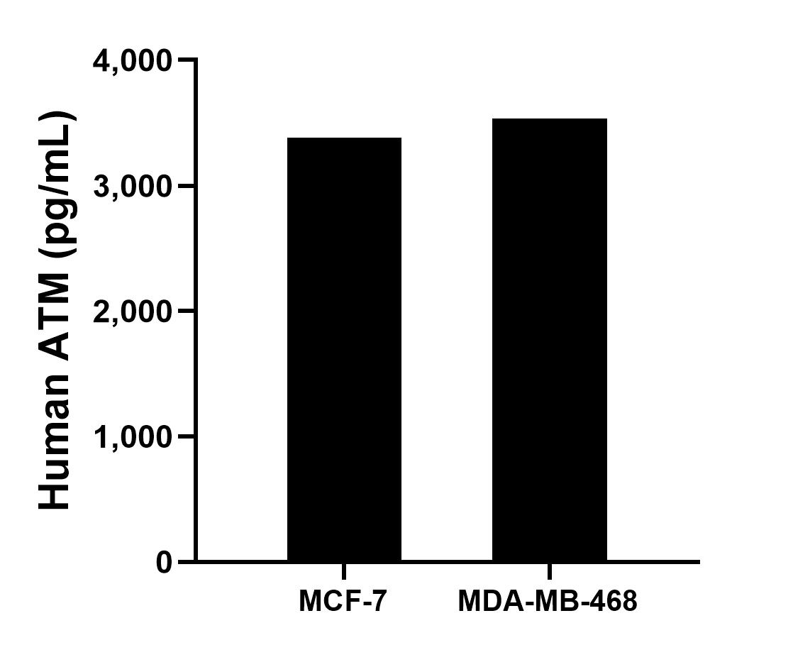 Sample test of MP00592-4